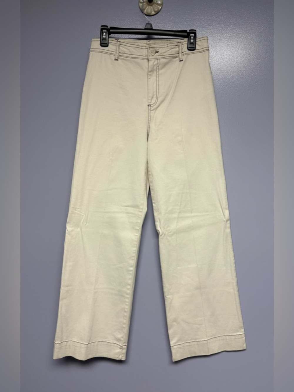 NWT Telluride Clothing company wide Leg high rise cream twill Pants women’s 8